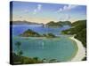 Trunk Bay - Virgin Islands-Eduardo Camoes-Stretched Canvas