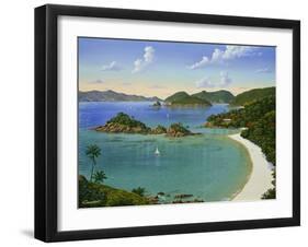 Trunk Bay - Virgin Islands-Eduardo Camoes-Framed Giclee Print