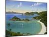 Trunk Bay - Virgin Islands-Eduardo Camoes-Mounted Giclee Print