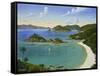 Trunk Bay - Virgin Islands-Eduardo Camoes-Framed Stretched Canvas