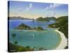 Trunk Bay - Virgin Islands-Eduardo Camoes-Stretched Canvas