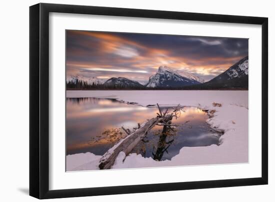 Trunk in Hot Spring-Michael Blanchette Photography-Framed Giclee Print