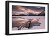 Trunk in Hot Spring-Michael Blanchette Photography-Framed Giclee Print