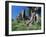 Trunk of Ancient Olive Tree with the Abbey of Sant'Antimo Beyond, Near Montalcino, Tuscany, Italy-Ruth Tomlinson-Framed Photographic Print