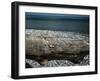 Trunk on the beach-Mandy Stegen-Framed Photographic Print