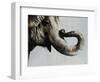 Trunk Space-Sydney Edmunds-Framed Giclee Print