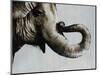 Trunk Space-Sydney Edmunds-Mounted Giclee Print