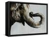 Trunk Space-Sydney Edmunds-Framed Stretched Canvas