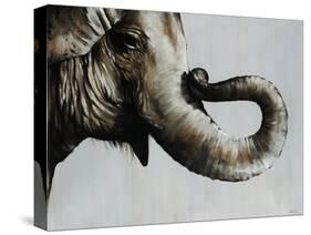 Trunk Space-Sydney Edmunds-Stretched Canvas