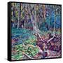 Trunk-Noel Paine-Framed Stretched Canvas