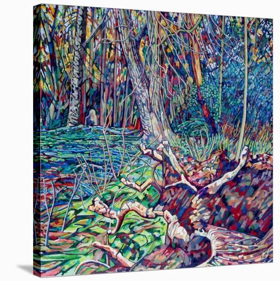 Trunk-Noel Paine-Stretched Canvas
