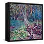 Trunk-Noel Paine-Framed Stretched Canvas