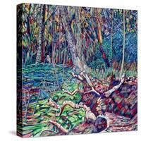 Trunk-Noel Paine-Stretched Canvas