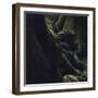 Trunks in the Teutoburg Forest in Olderdissen-Nadja Jacke-Framed Photographic Print