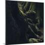 Trunks in the Teutoburg Forest in Olderdissen-Nadja Jacke-Mounted Photographic Print