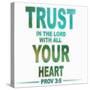 Trust In The Lord-Taylor Greene-Stretched Canvas
