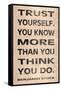 Trust Yourself-N. Harbick-Framed Stretched Canvas