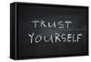 Trust Yourself-Yury Zap-Framed Stretched Canvas