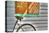 Trusty Old Bike-Robert Goldwitz-Stretched Canvas