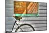 Trusty Old Bike-Robert Goldwitz-Mounted Photographic Print