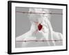 Truzz-Fabio Panichi-Framed Photographic Print