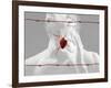 Truzz-Fabio Panichi-Framed Photographic Print