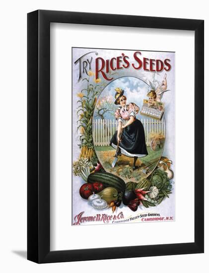 Try Rice's Seeds Cambridge-null-Framed Premium Giclee Print