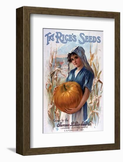 Try Rice's Seeds Cambridge-null-Framed Art Print