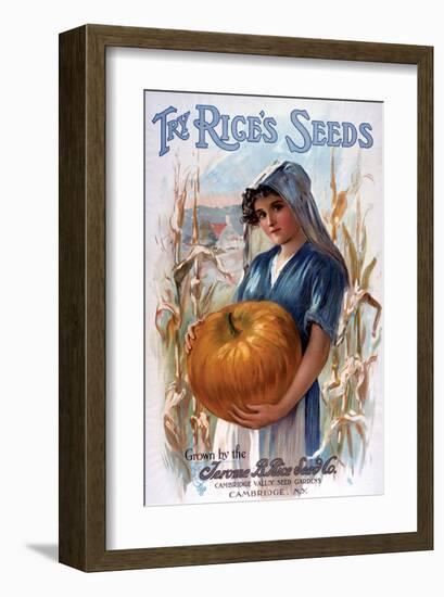 Try Rice's Seeds Cambridge-null-Framed Art Print