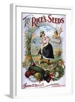 Try Rice's Seeds Cambridge-null-Framed Art Print