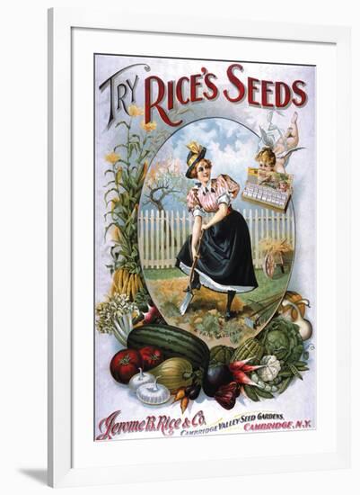 Try Rice's Seeds Cambridge-null-Framed Art Print