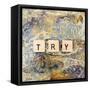 Try-Britt Hallowell-Framed Stretched Canvas