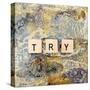 Try-Britt Hallowell-Stretched Canvas