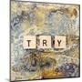 Try-Britt Hallowell-Mounted Art Print