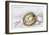 Trygon Strofyloptus-Robert Hermann Schomburgk-Framed Art Print