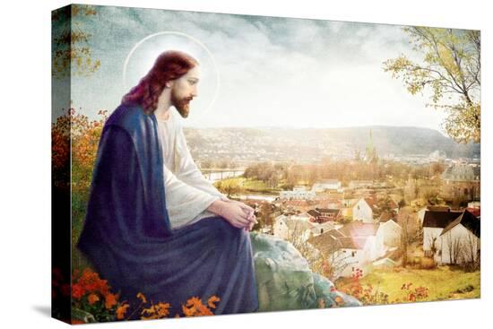 Stretched Canvas Print, , large