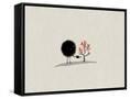 Canvas Black
