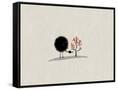 Canvas Black