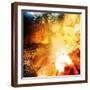 Brown Frame