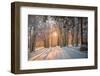 Trying to Steal a Minute-Philippe Sainte-Laudy-Framed Photographic Print