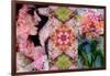 Tryptich from Portrait Flowers Ornaments-Alaya Gadeh-Framed Photographic Print