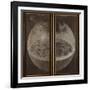 Tryptich of "The Garden of Earthly Delights" - the Creation of the World-Giusto De' Menabuoi-Framed Giclee Print