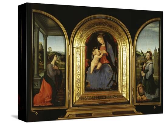 Stretched Canvas Print, , large