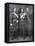 Tsar Nicholas II of Russia, King George V of Great Britain and King Albert I of Belgium, 1914-null-Framed Stretched Canvas