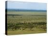 Tsavo East National Park, Kenya, East Africa, Africa-Sergio Pitamitz-Stretched Canvas
