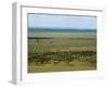 Tsavo East National Park, Kenya, East Africa, Africa-Sergio Pitamitz-Framed Photographic Print