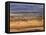 Tsavo National Park, Kenya, East Africa, Africa-Storm Stanley-Framed Stretched Canvas