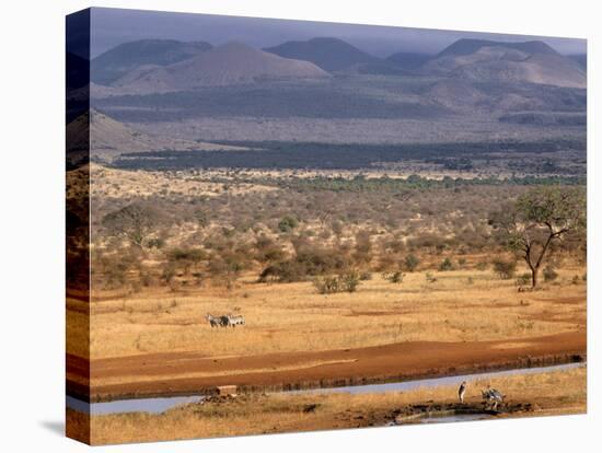 Tsavo National Park, Kenya, East Africa, Africa-Storm Stanley-Stretched Canvas