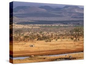 Tsavo National Park, Kenya, East Africa, Africa-Storm Stanley-Stretched Canvas