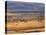 Tsavo National Park, Kenya, East Africa, Africa-Storm Stanley-Stretched Canvas